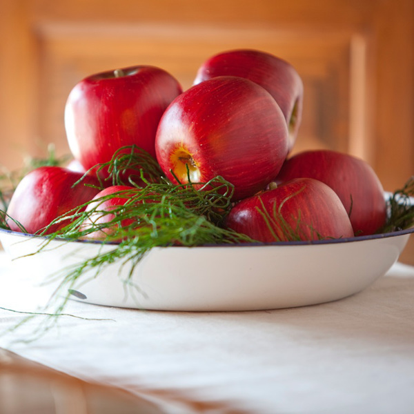 Fructe Artificiale si Legume Artificiale Decorative | Aspect Proaspat