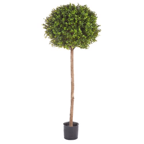 Buxus artificial decorativ Ø 50cm Boxwood - 140 cm