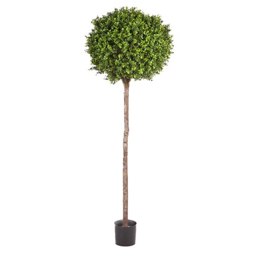 Buxus artificial decorativ Ø 65cm Boxwood - 170 cm