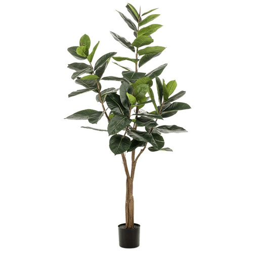 Ficus artificial Elastica in ghiveci negru din plastic - 180 cm