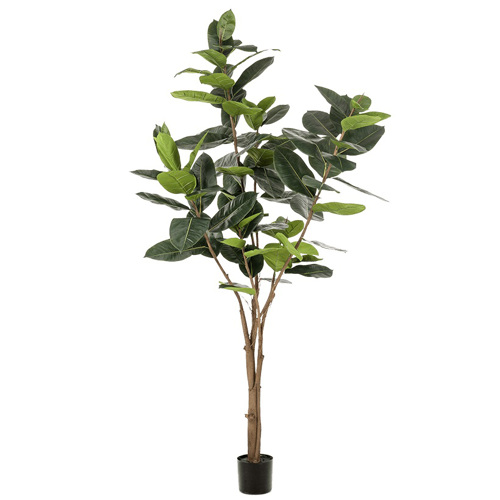 Ficus artificial Elastica in ghiveci negru din plastic - 210 cm