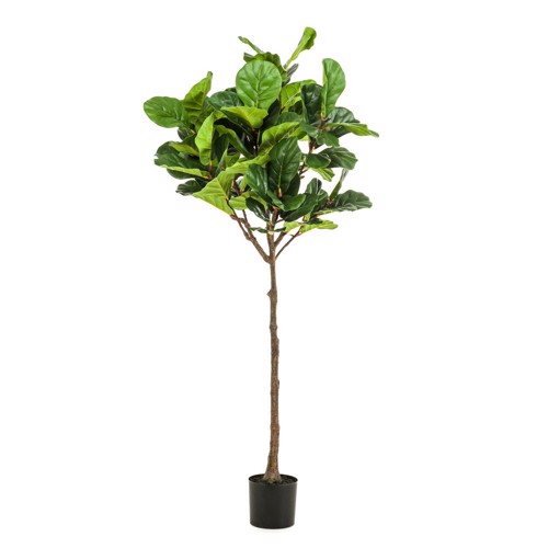 Ficus artificial Lyrata in ghiveci negru din plastic - 195 cm