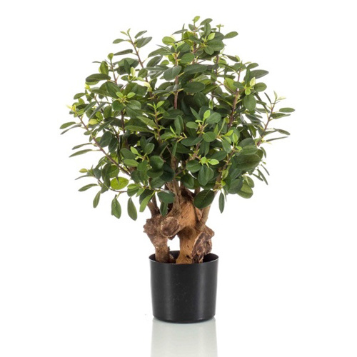 Ficus artificial Panda Botanic in ghiveci - 70 cm
