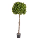 Buxus artificial decorativ Ø 40cm Boxwood - 105 cm