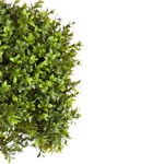 Buxus artificial decorativ Ø 40cm Boxwood - 105 cm