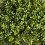 Buxus artificial decorativ Ø 40cm Boxwood - 105 cm