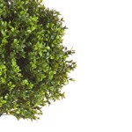 Buxus artificial decorativ Ø 50cm Boxwood - 140 cm