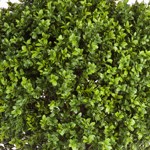 Buxus artificial decorativ Ø 65cm Boxwood - 170 cm