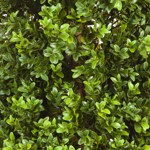 Buxus artificial decorativ Boxwood in ghiveci - 140 cm