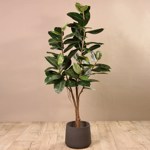 Ficus artificial Elastica in ghiveci negru din plastic - 180 cm