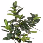 Ficus artificial Elastica in ghiveci negru din plastic - 210 cm