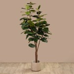 Ficus artificial Elastica in ghiveci negru din plastic - 210 cm