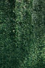 Gard artificial STANDARD - 1.5x3m