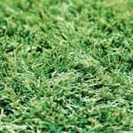 Gazon artificial NEW PIAZZA 30mm - 2x4m