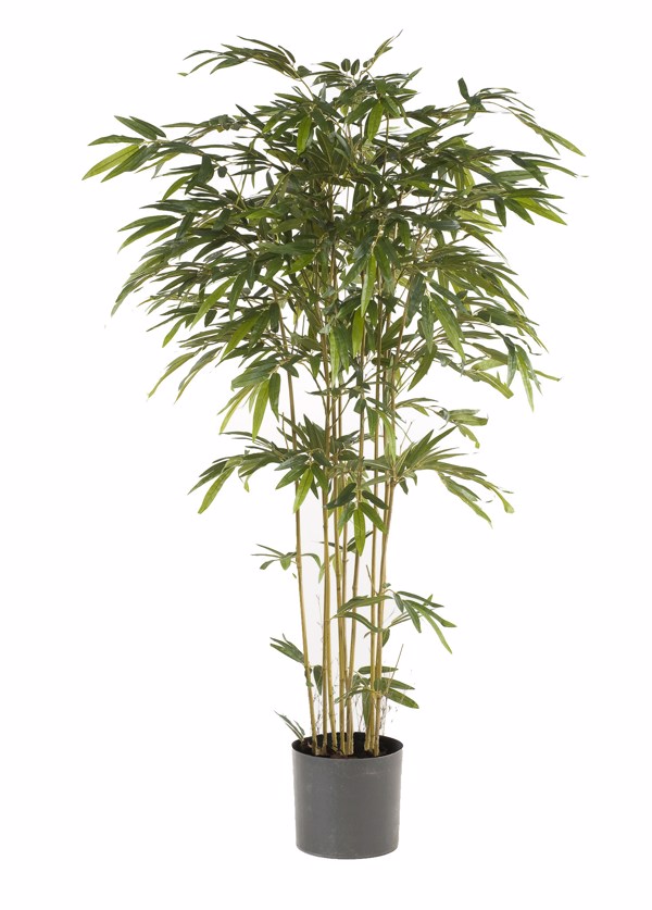 Bambus artificial decorativ x9 in ghiveci - 205 cm