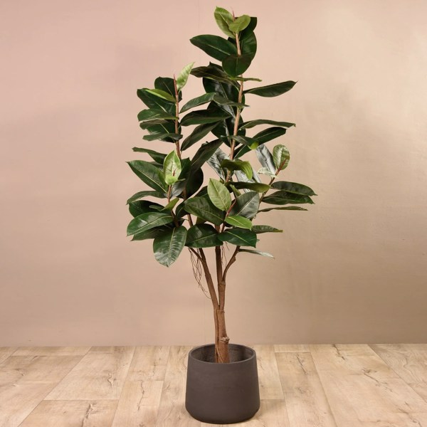 Ficus artificial Elastica in ghiveci negru din plastic - 180 cm
